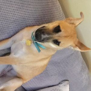 Meet your Posher, Mary jo